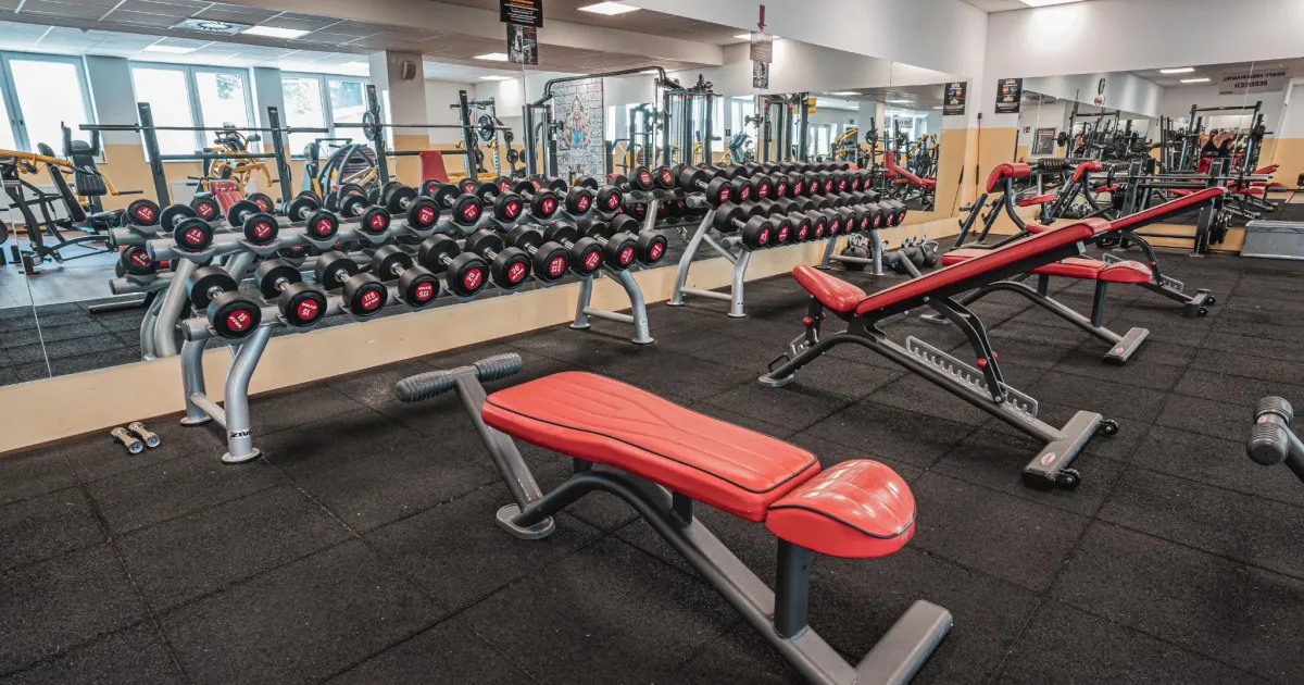 Freistadt Studiofoto Nr4